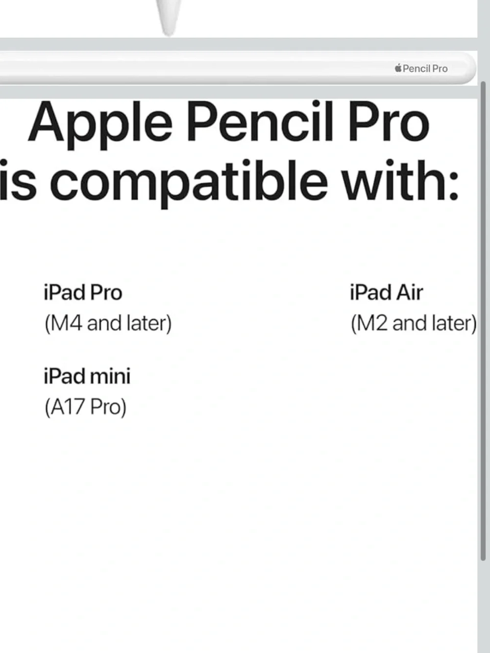 Apple White iPad Stylus Pen